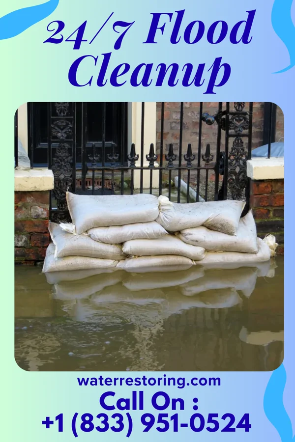 24/7 Flood Cleanup in Faison, NC