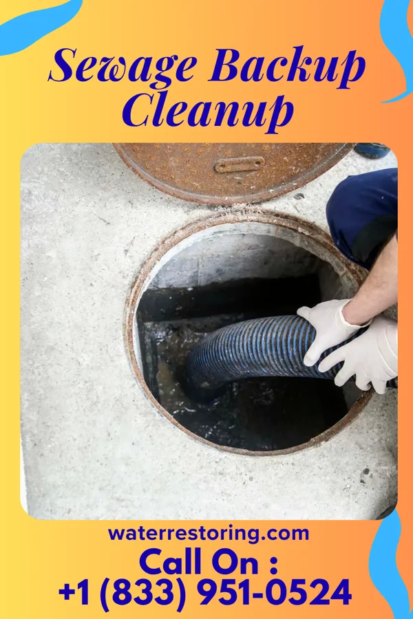 Sewage Backup Cleanup in Faison, NC